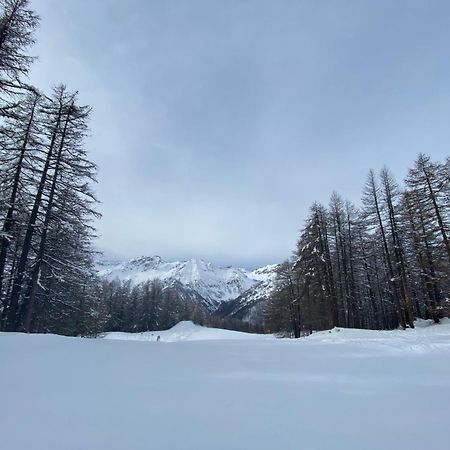 Les Granges D'Arvieux - Queyras - Appart 3Ch./6P. エクステリア 写真